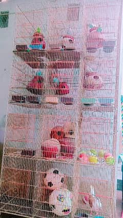 Pinjra / A cage with 12 boxes is available for sale