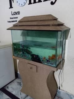 Fish Aquarium Full Setup