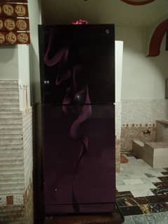 PEL Glass Door Refrigerator In Purple