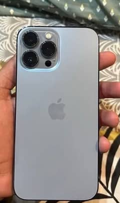 iphone 13 pro max panel dead