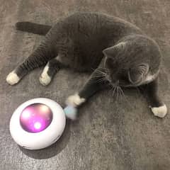 ufo cat toy