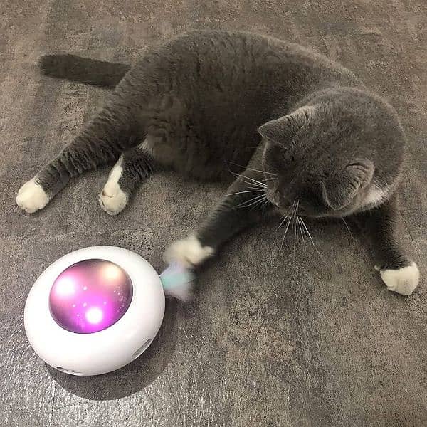 ufo cat toy 0