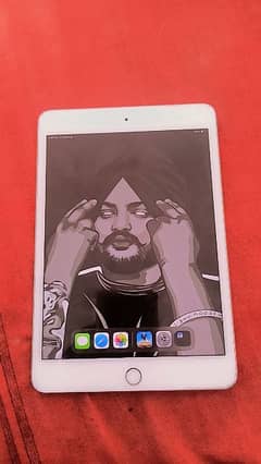 I Pad Mini 5 Silver Colour Lla Model 64GB