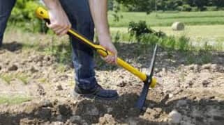 Experienced Gardener Needed for Residential Property Maintenance