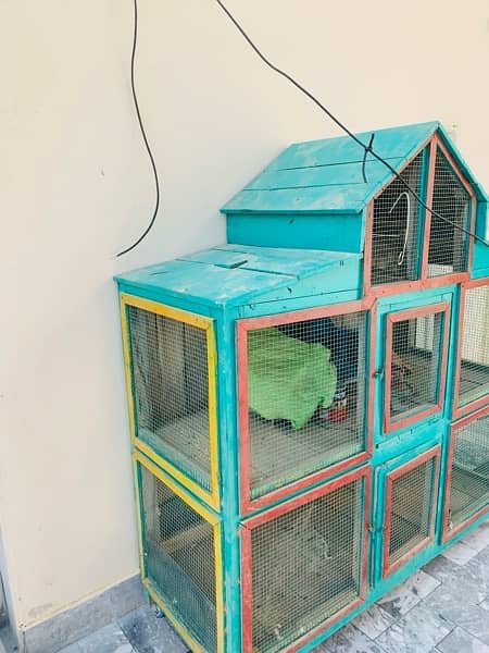 birds cage 2