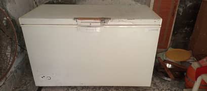 freezer 10/9 condition brand new 100% OK