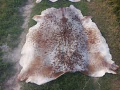 NEW LARGE 100% COWHIDE LEATHER RUGS TRICOLOR COW HIDE SKIN CARPET AREA