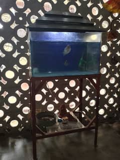 iron stand aquarium with flowers horns pair