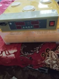 56 Egg Incubator for Sale - Like New, Final Price