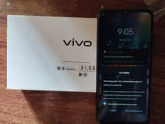 VIVO