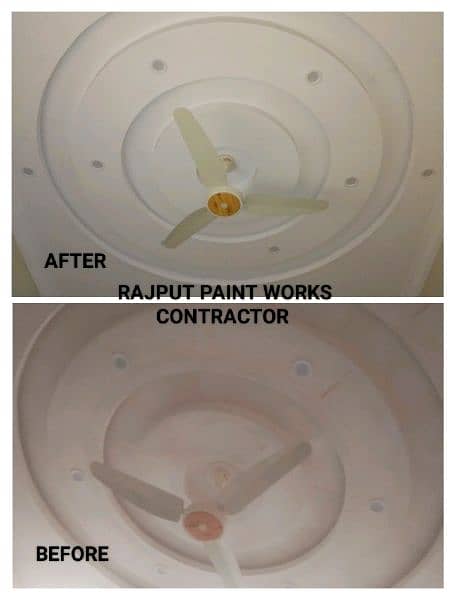 (Painter) RAJPUT PAINT WORKS CONTRACTOR 10