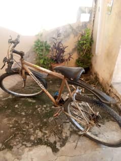 Bicycle for sale