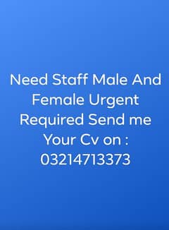 Need Staff Urgent