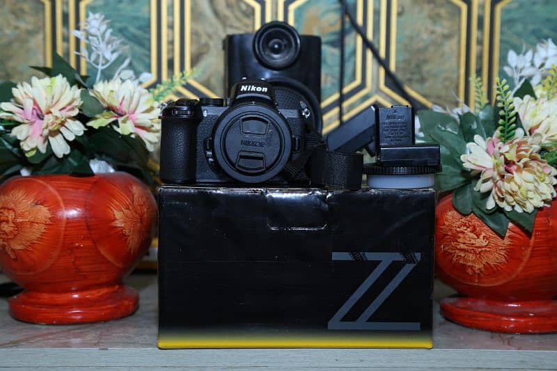 Nikon Z50 10