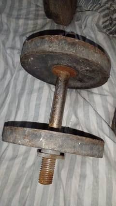 Dumbbells For Sale