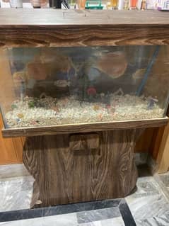 Aquarium for sale