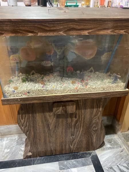 Aquarium for sale 0