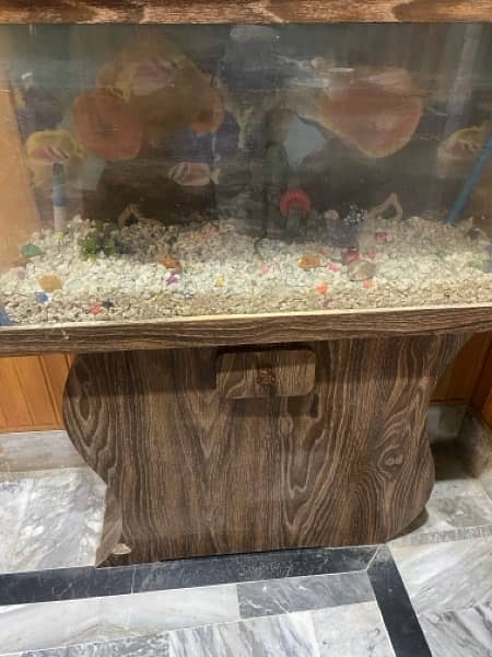 Aquarium for sale 2