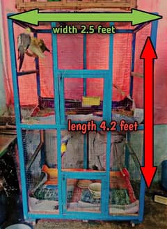 Birds Cage For Sale Urgent