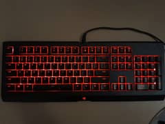 Razer Cynosa Chroma ORIGINAL