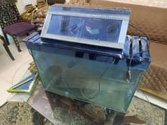 Fish Aquarium 2.1 x1.5 feet in good condition