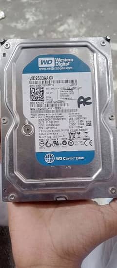 Western Digital 250Gb Hard disk 0