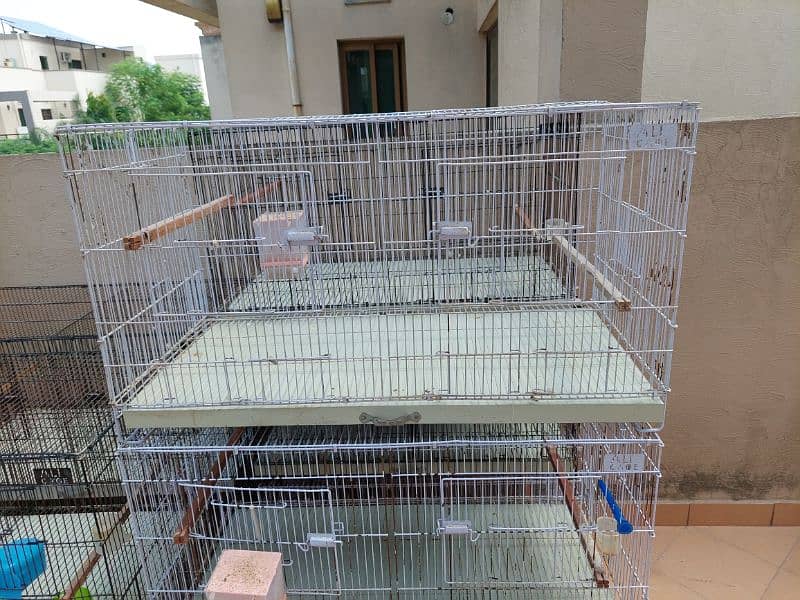 Lovebird Cages 1