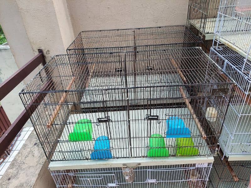 Lovebird Cages 2