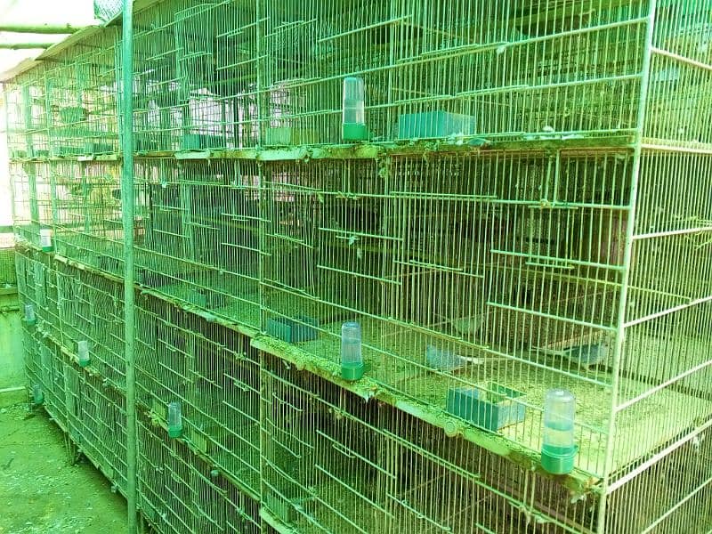 8 Portion Cages 1