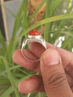 Marjan Ring