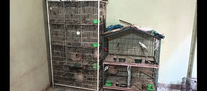 Cocktails LoveBirds Cages Full Setup