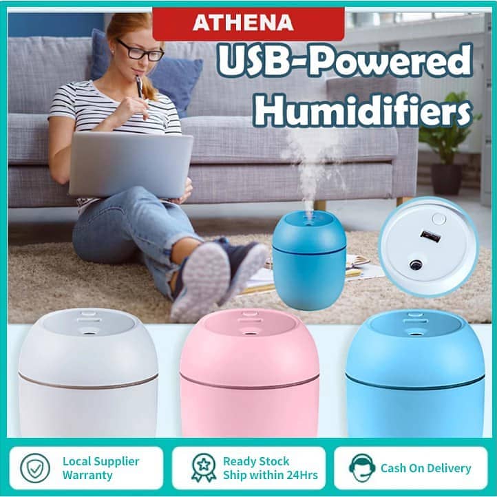 Mist Spray Humidifier 2