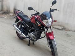 YAMAHA YBR-125 2021 Model For Sale 0