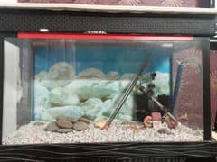 2.5 feet Local Aquarium for sale with accessories