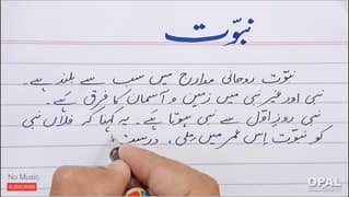 Professional Urdu & English assignment work in low cost