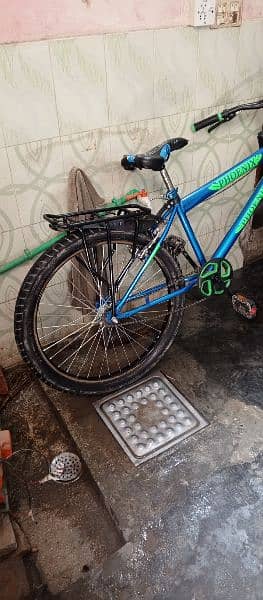 Phoenix Bicycle For Sale 1