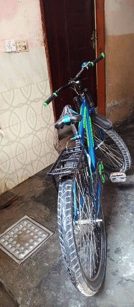 Phoenix Bicycle For Sale 2