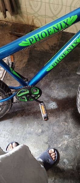 Phoenix Bicycle For Sale 5