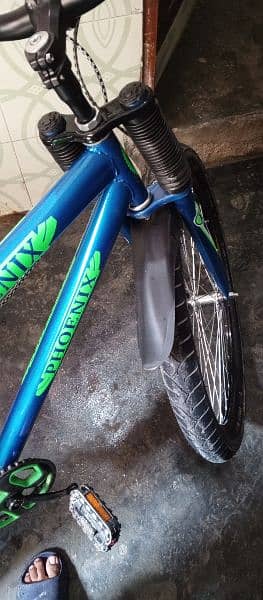 Phoenix Bicycle For Sale 15