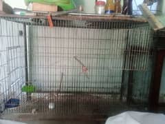 gray parrot cage for sale