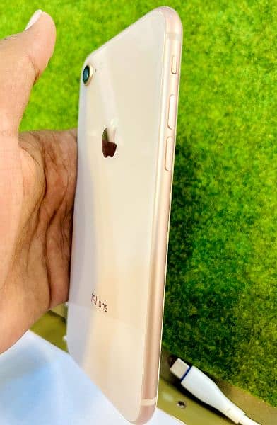 iphone 8 Non pta 64 gb Gold Colour 1