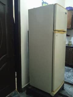 fridge Dawlance