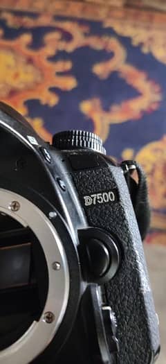 Nikon D7500 Digital SLR Camera