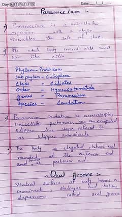 "Handwritten and typed English and Urdu assignments. "