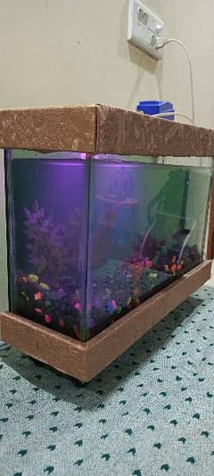 fish aquarium with fish and all accessories urgent for sale