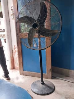 fan