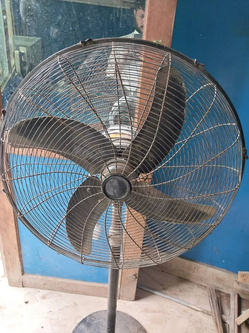 fan full size 3