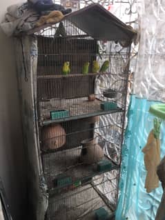 3 portion birds cage for sale