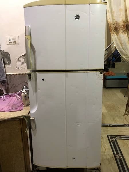 PEL Refrigerator 1