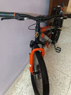 Bicycle QIQITE Company 20"